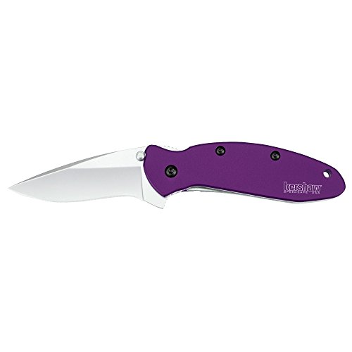Purple Kershaw Folding Knife with 420HC Blade