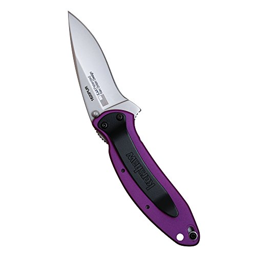 Purple Kershaw Folding Knife with 420HC Blade