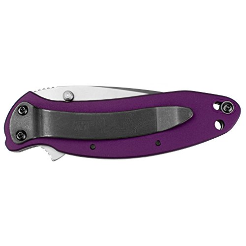 Purple Kershaw Folding Knife with 420HC Blade