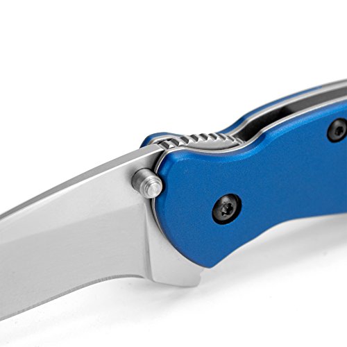 Navy Blue Scallion Pocket Knife - Kershaw