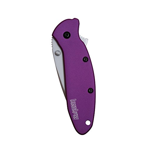 Purple Kershaw Folding Knife with 420HC Blade