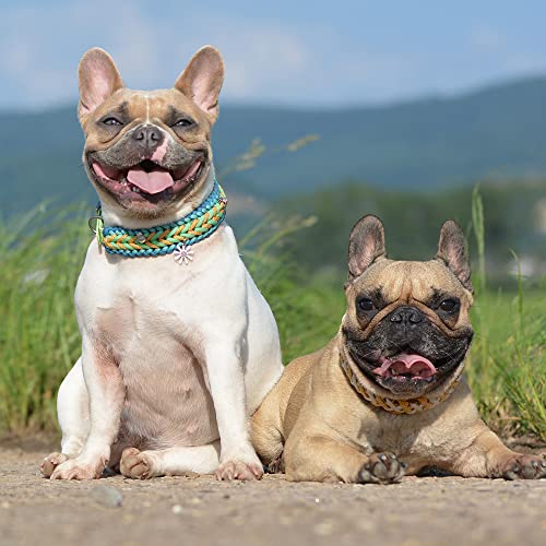 Black 550 Paracord for Survival - 50' Length