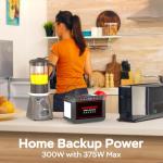 Portable Power Station 300W for Camping and Emergencies