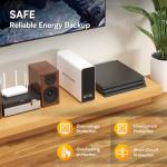 GoldenMate 1000VA Lithium Battery Backup System