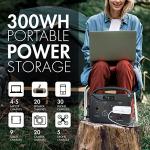 Tenergy T320 300Wh Portable Power Station