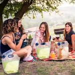 Collapsible 1.5 Gallon Water Container Bags - 6 Pack