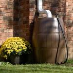 50 Gallon Yimby Flat Back Rain Barrel