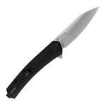 Kershaw Raygun Folding Pocket Knife with 2.8" Blade