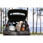 ITRAZ Collapsible Water Container Jug, 4 Gallon