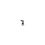 Celestron Nexstar 4SE GoTo Telescope Mount