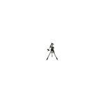 Celestron CGEM II Motorized Telescope Mount