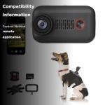 2K Pet Collar Camera with App and SD Card