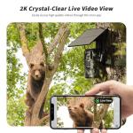 4G LTE Cellular Trail Camera with Live Streaming