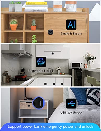 Smart Biometric Fingerprint Cabinet Lock for Home Office