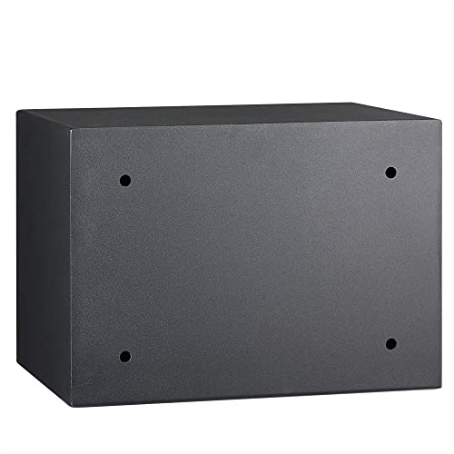 Spy-Grade Biometric Fingerprint Lock Safe