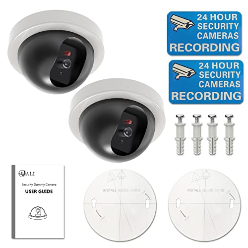 Dummy CCTV Dome Camera with Red LED Light - 2 Packs