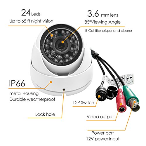 HD 1080P Outdoor Domed Spy Camera
