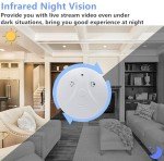 TANGMI WiFi Hidden Camera Smoke Detector 1080P