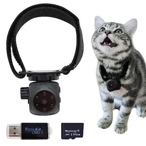 Pet Collar Camera with Night Vision & Tracking