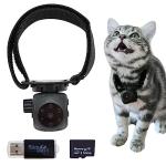 Pet Collar Camera with Night Vision & Tracking