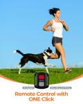 4K HD Dog Tracker Collar with Camera