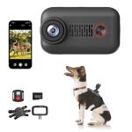2K Pet Collar Camera with App and SD Card