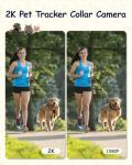 2K Pet Collar Camera with App and SD Card
