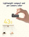 2K Pet Collar Camera with App and SD Card