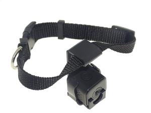 Pet Collar Camera for Dogs and Cats