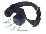 Pet Collar Camera for Dogs and Cats