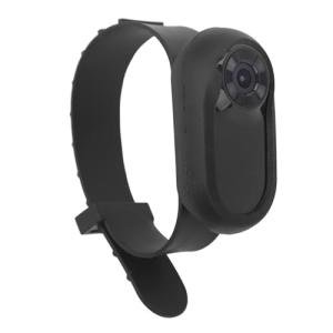 1080P Pet Collar Camera with LCD Display