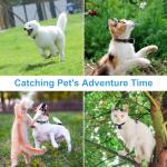 KinetCam Cordless Cat Camera Collar - M Size
