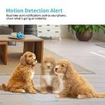 2K HD Pet Camera with Night Vision & App