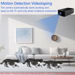 1080P Mini Hidden Camera - Rechargeable Loop Recording