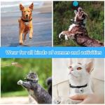 HD 1080P Cat Camera Collar with Video Record