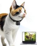 1080P Cat Camera Collar - Cordless & No App