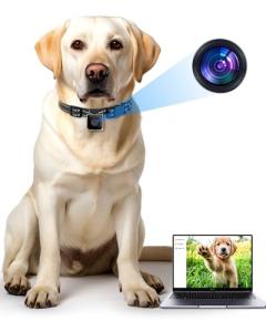 KinetCam Outdoor Camera Collar for Medium Dogs
