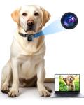KinetCam Outdoor Camera Collar for Medium Dogs