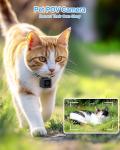 KinetCam Outdoor Camera Collar for Medium Dogs