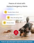 Furbo Mini Pet Camera with Two-Way Audio