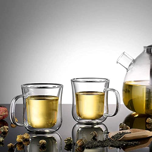 Set of 2 ecooe Double Walled Glass Cups