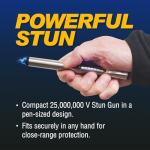 25 Million Volt Pain Pen Stun Gun