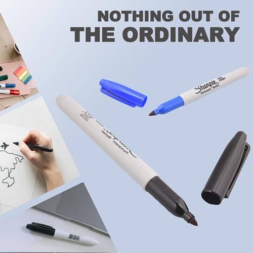 Decoy Sharpie Pen - Secret Safe for Valuables