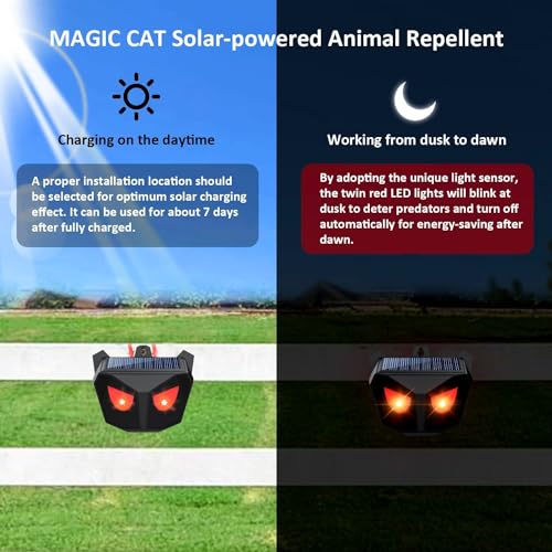 Solar Nocturnal Animal Repeller: Predator Deterrent + LED Lights