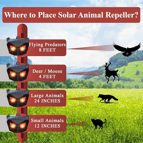 Solar Nocturnal Animal Repeller: Predator Deterrent + LED Lights