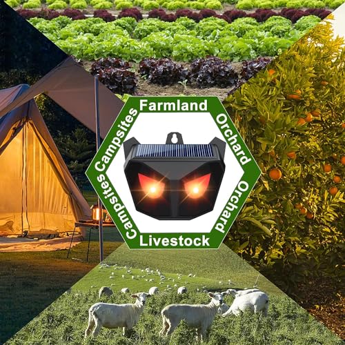 Solar Nocturnal Animal Repeller: Predator Deterrent + LED Lights