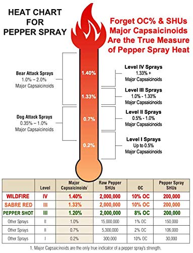 Compact Black Pepper Spray Gun with Holster