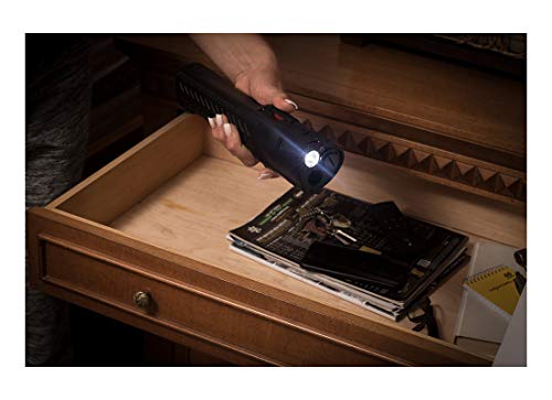 PepperBall LifeLite Self-Defense Kit with LED Flashlight
