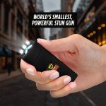 Hornet Micro Stun Gun Keychain with Flashlight
