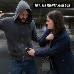 Hornet Micro Stun Gun Keychain with Flashlight